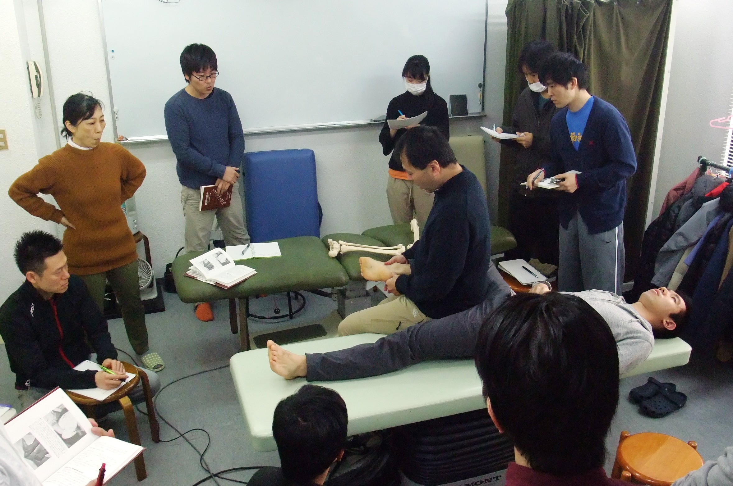 2016.06～2017.05 直接法四肢セミナー - JOA-日本オステオパシー学会